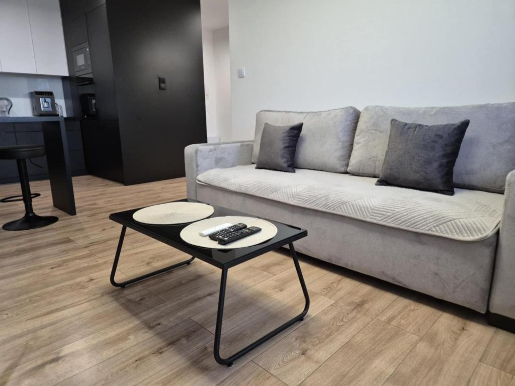 a living room with a couch and a table at Apartament przy WROCZYŃSKIEGO 5 z miejscem garażowym in Biała Podlaska