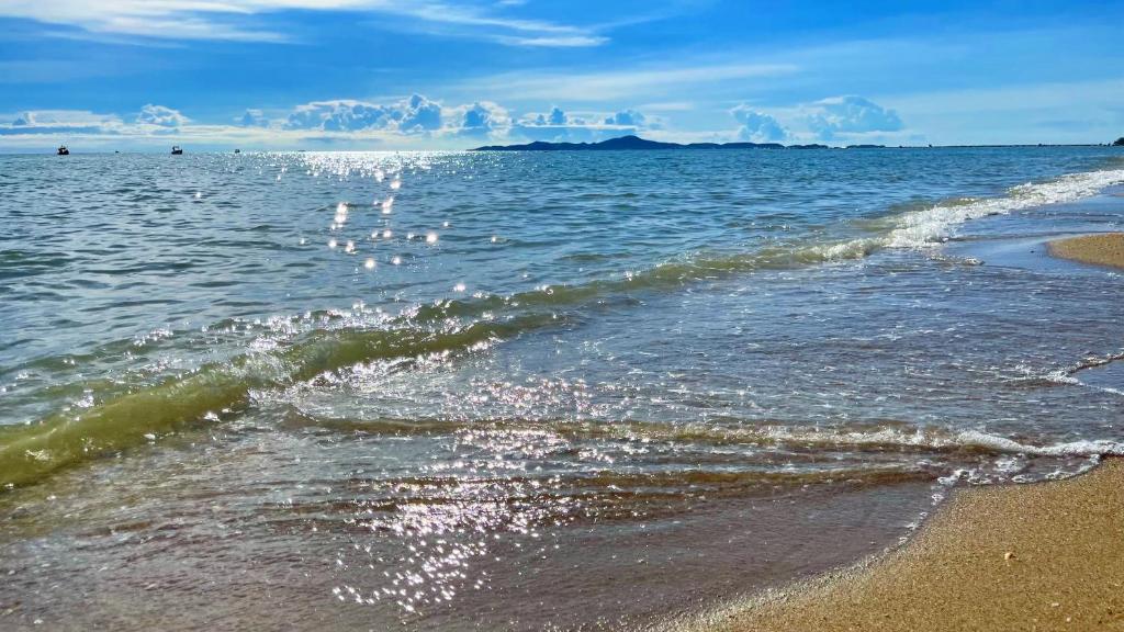 Beach Gallery House - Resim 17