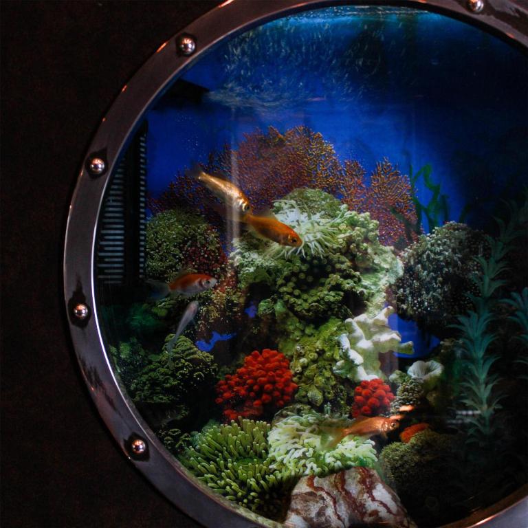 Birchwood Inn, BW Premier Collection - Resim 38