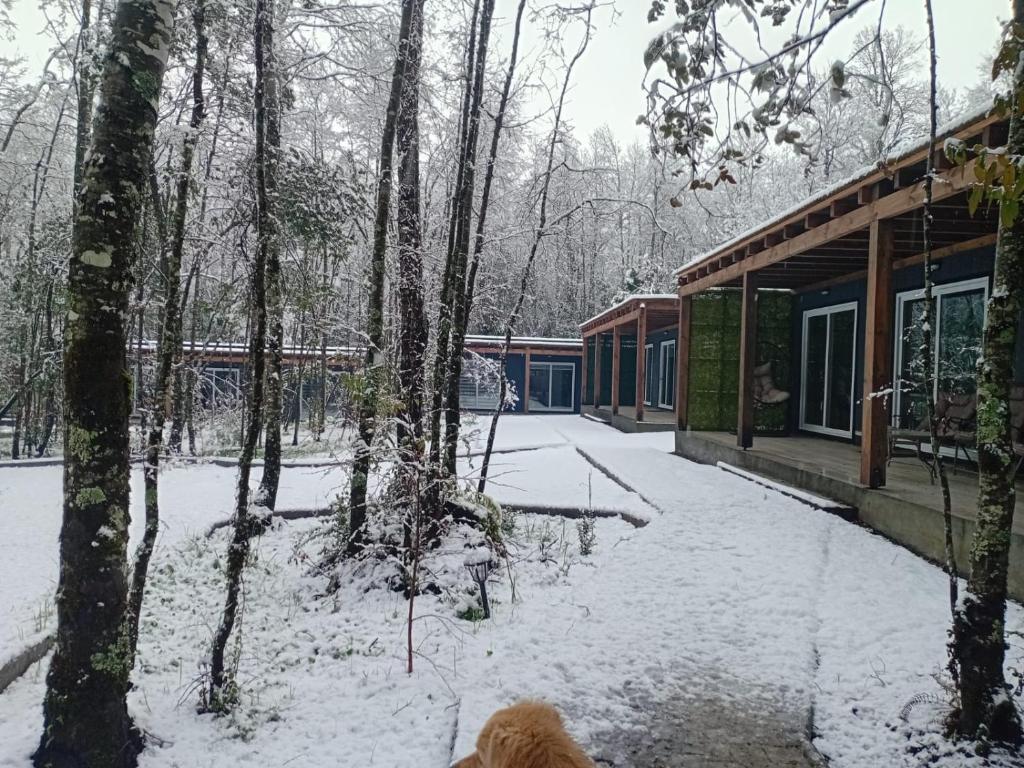 a cabin in the woods with snow on the ground at Boker Tov Pucón in Pucón