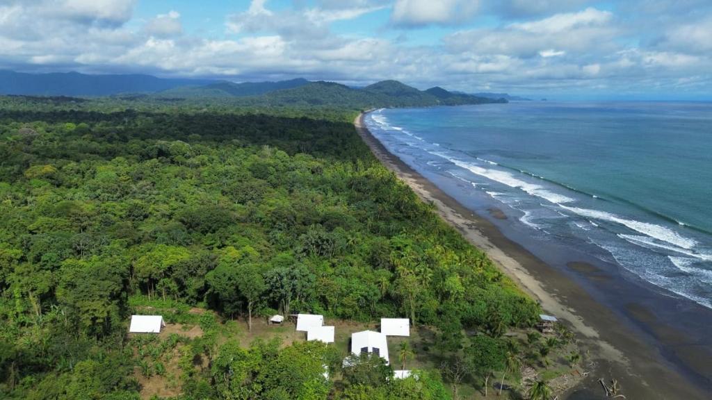una vista aérea de una playa y el océano en Origen Zelvamar, en Bahía Solano