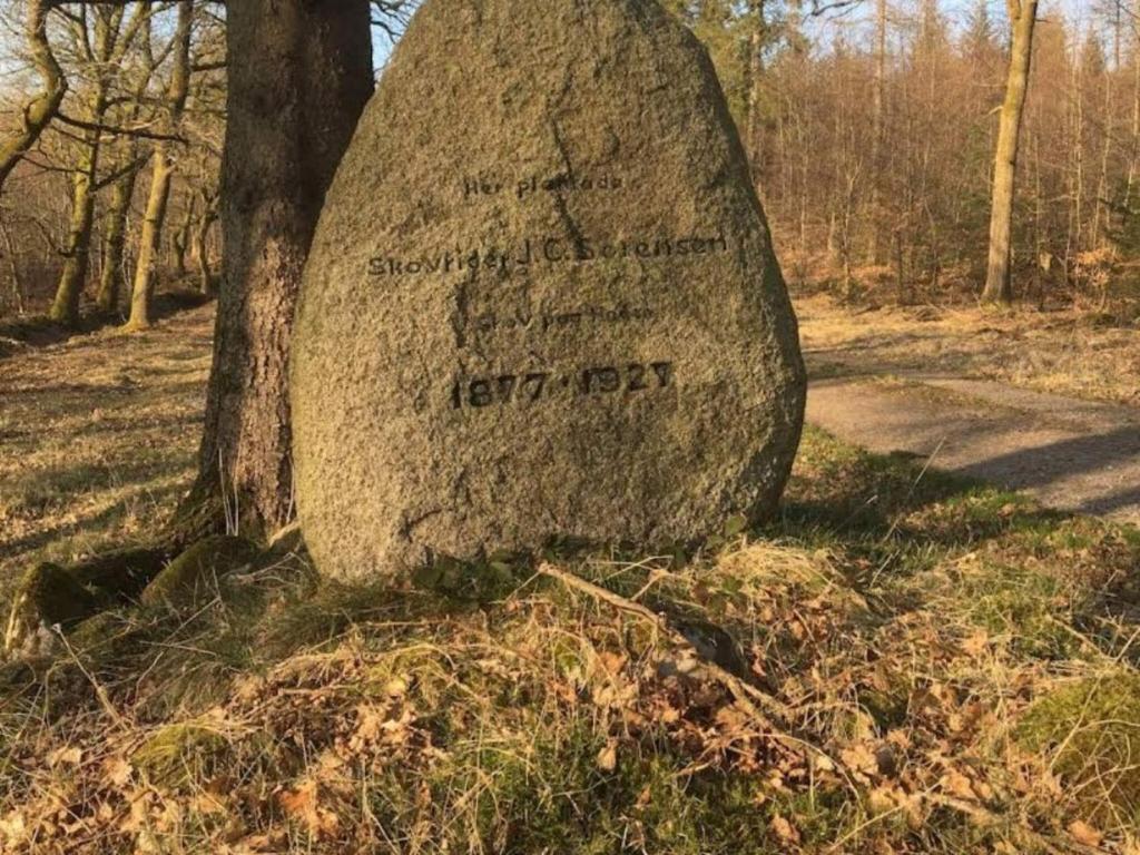 a large rock sitting next to a tree at 4 person holiday home in Hovborg-By Traum in Hovborg