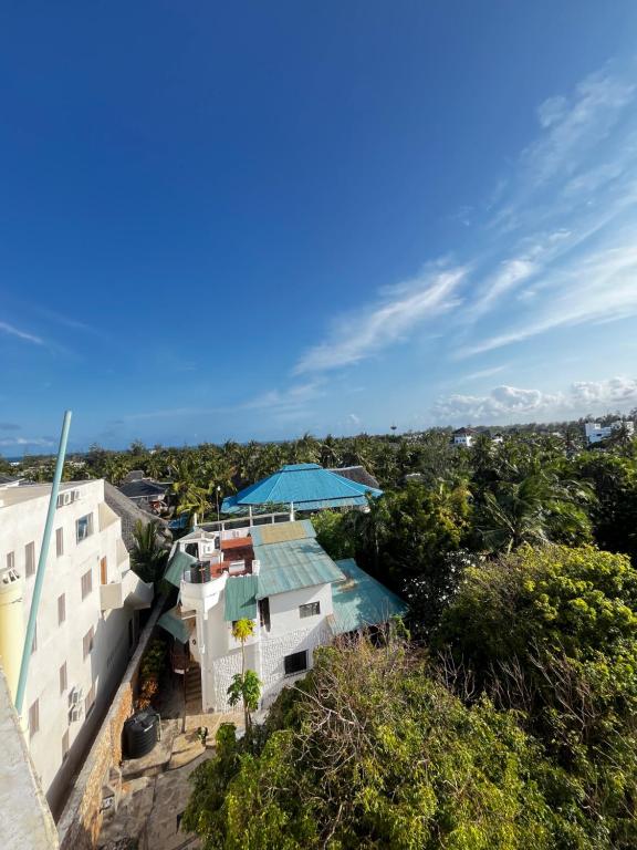 Příroda nedaleko apartmánu