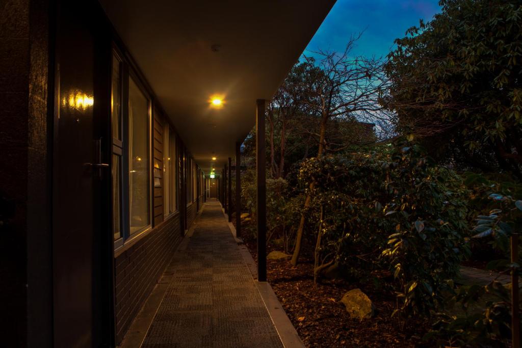 Aurora on George - Resim 43