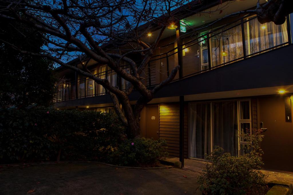 Aurora on George - Resim 44