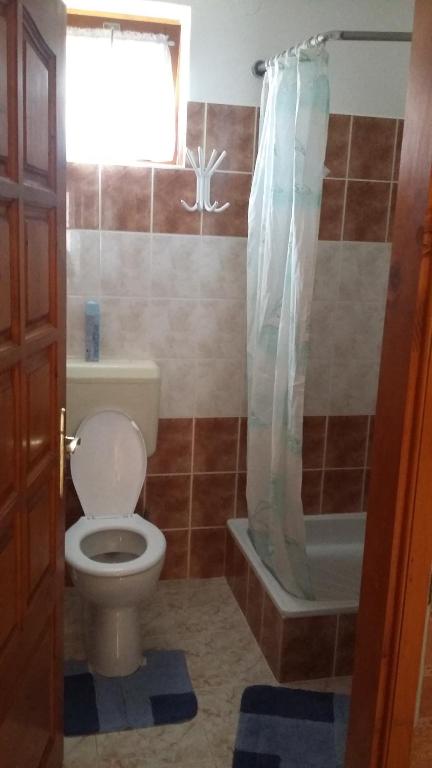 Kúpeľňa v ubytovaní Bodzavirág Apartman
