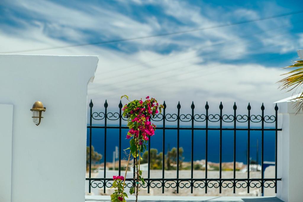 a black fence with a bunch of pink flowers at Day One Fira Mansion in Fira