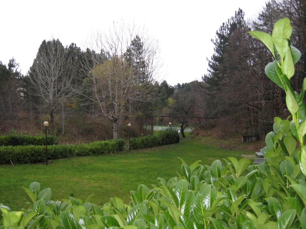 une cour herbeuse avec des arbres et des buissons dans un parc dans l'établissement Le Tre Rose Montagna, à Camigliatello Silano