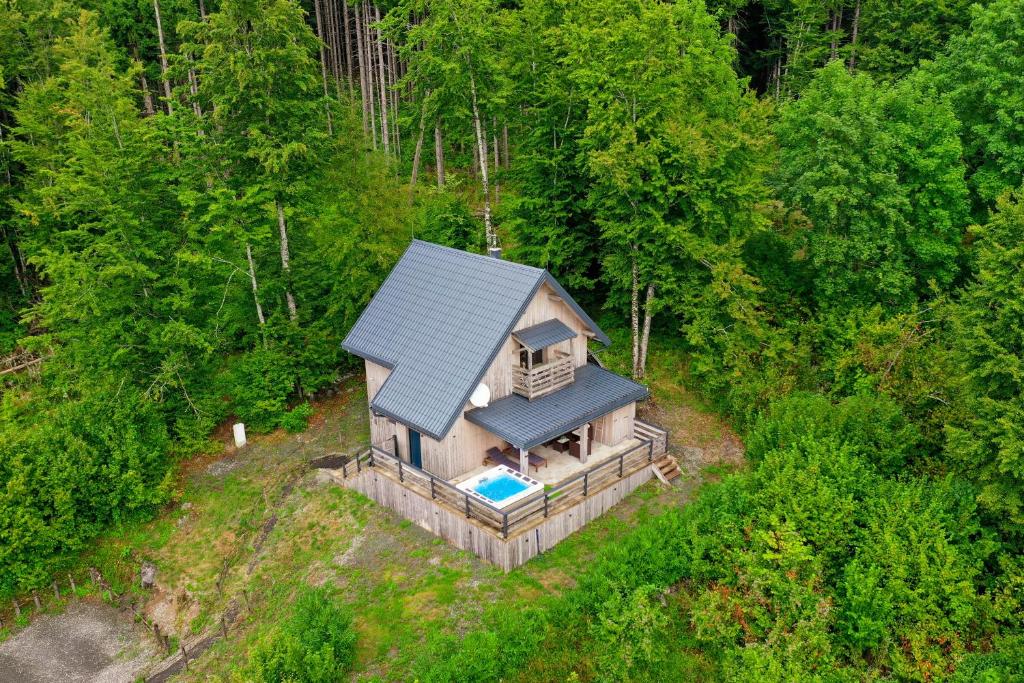 an overhead view of a house in the woods at Chalet Dream Sky in Mrkopalj