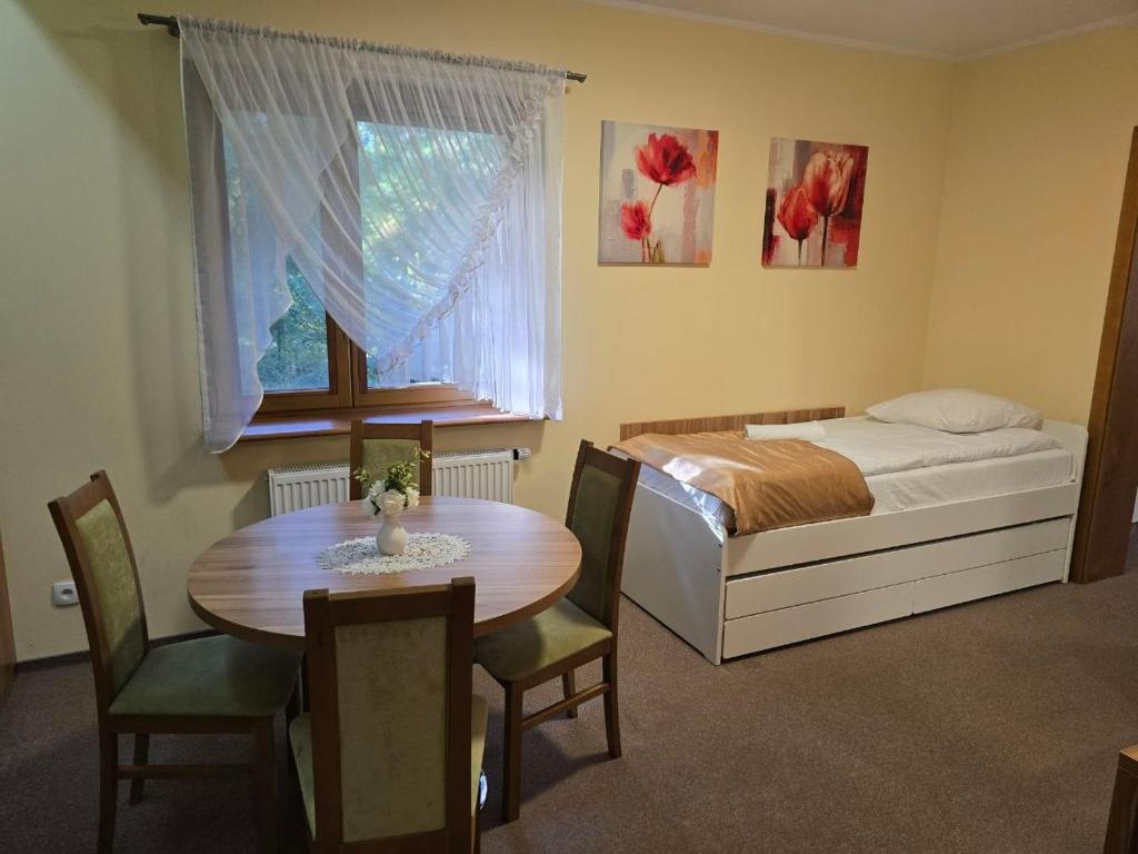 Leśny Ośrodek Szkoleniowy w Puszczykowie - Studio Apartment