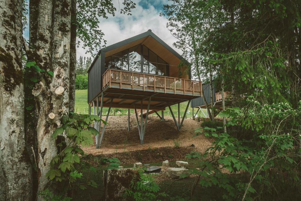 ミッセン・ヴィルハムスにあるBAUMCHALETS Allgäuの森の真ん中にあるツリーハウス