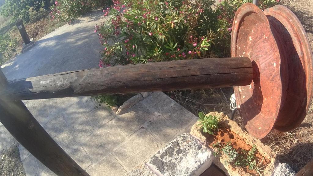 Zahrada ubytování Trullo Contrada Stracca
