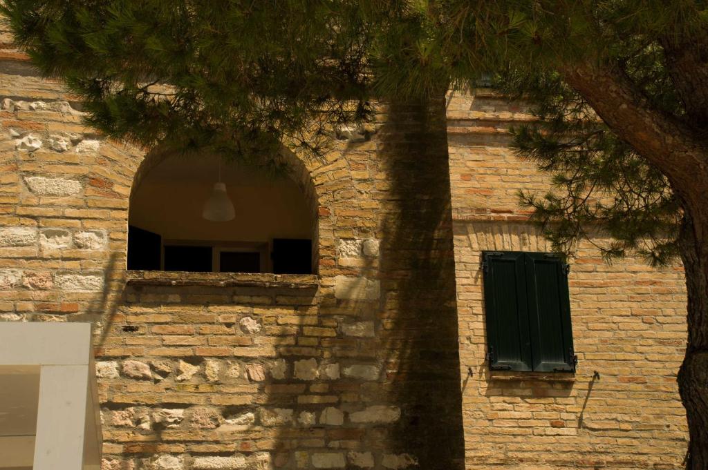 Zdjęcie z galerii obiektu Lido Azzurro w mieście Numana