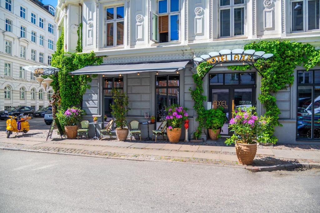 Axel Guldsmeden - Resim 13