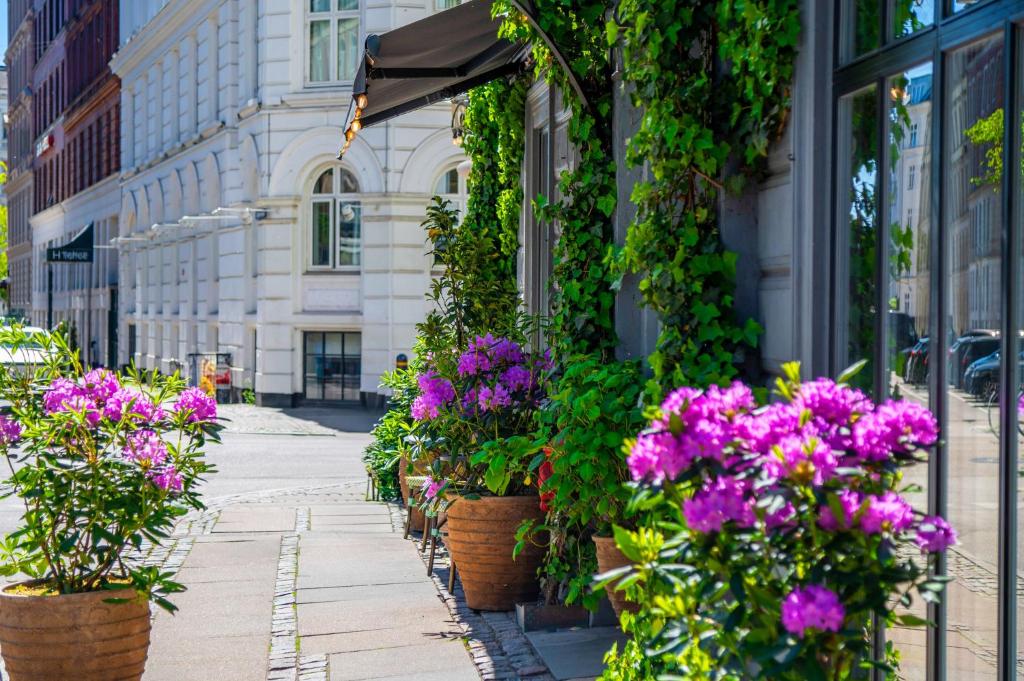 Axel Guldsmeden - Resim 8