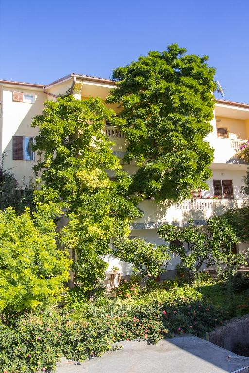 two trees in front of a building at Apartment Bruno in Mali Lošinj