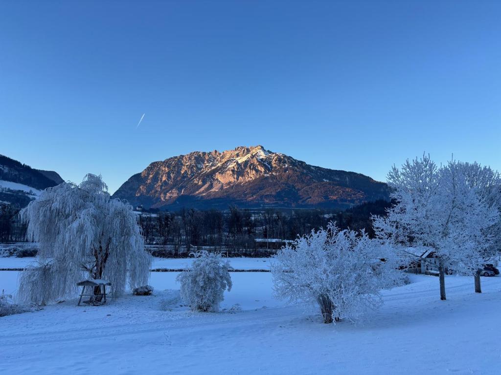 Alpen Experience Apart Hotel - 13