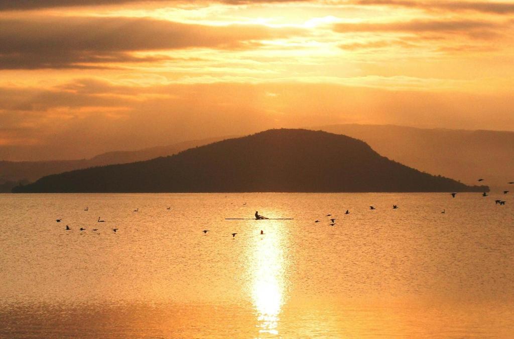 Victoria Hostel - Resim 11