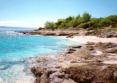 a beach with rocks and blue water and trees at Apartment Tara in Sumartin