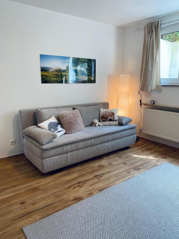 a living room with a couch with a dog laying on it at Helles, gepflegtes Souterrain Apartment in ruhiger Lage in Düsseldorf