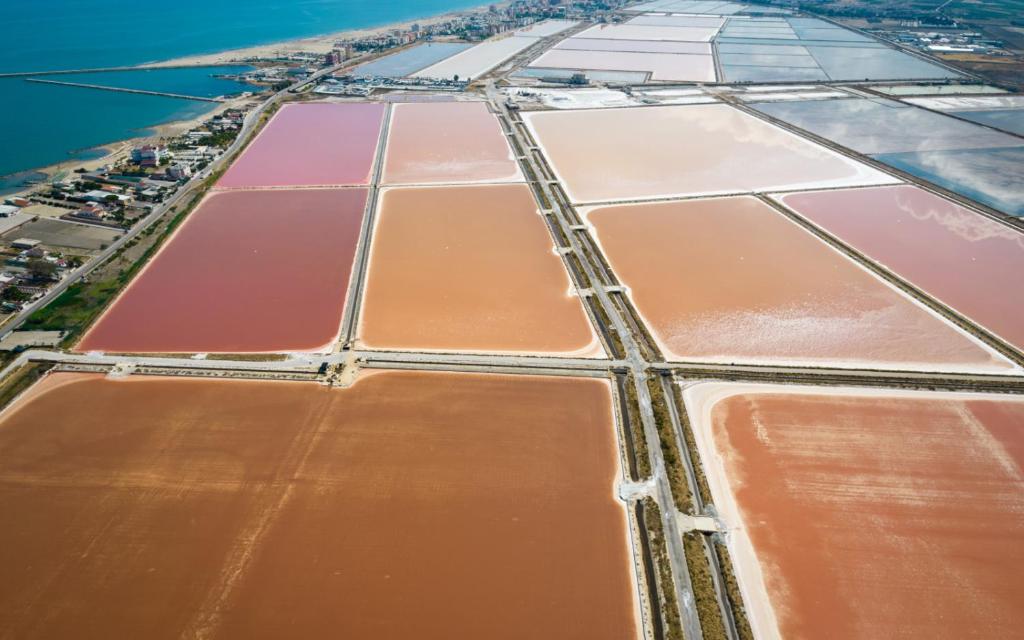 an aerial view of a field of crops at Salviamolacucina homechefhospitality in Margherita di Savoia
