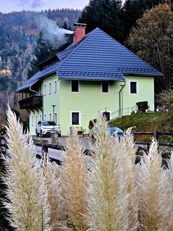 a white house with a blue roof on a hill at Villa Alpine Spirit in Gösing an der Mariazeller Bahn
