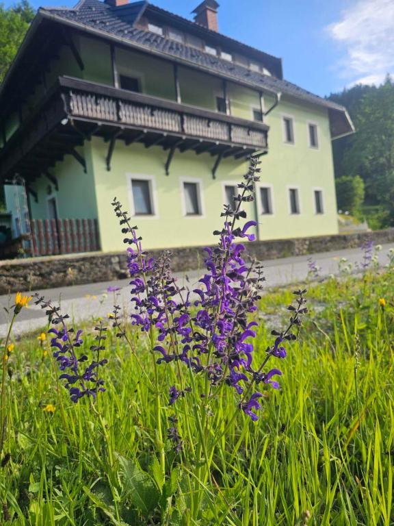 Villa Alpine Spirit