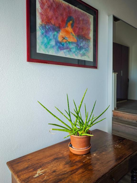 Agriturismo Nicobresaola - 7