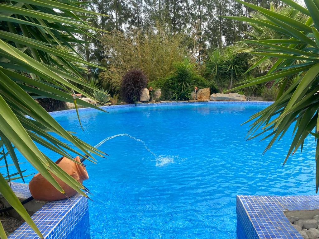 Πισίνα στο ή κοντά στο Quinta Oriana Bella suite