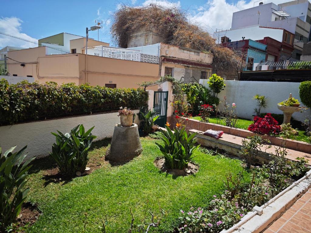 a garden with flowers and plants in front of a building at Casa Quico in Santa Cruz de Tenerife