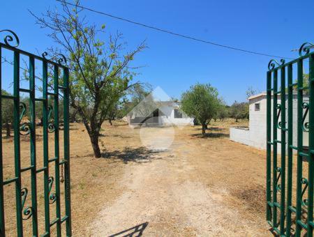 ein Tor auf einem Feld mit Bäumen und einem Gebäude in der Unterkunft Villa ciro in Ostuni