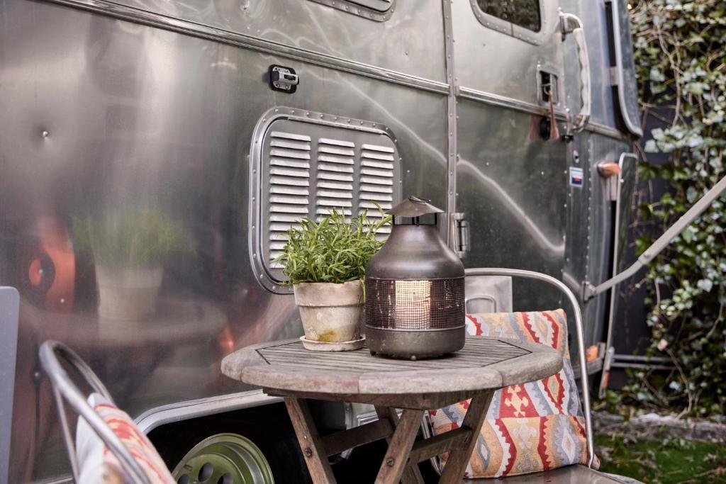 66 Guldsmeden - Resim 29