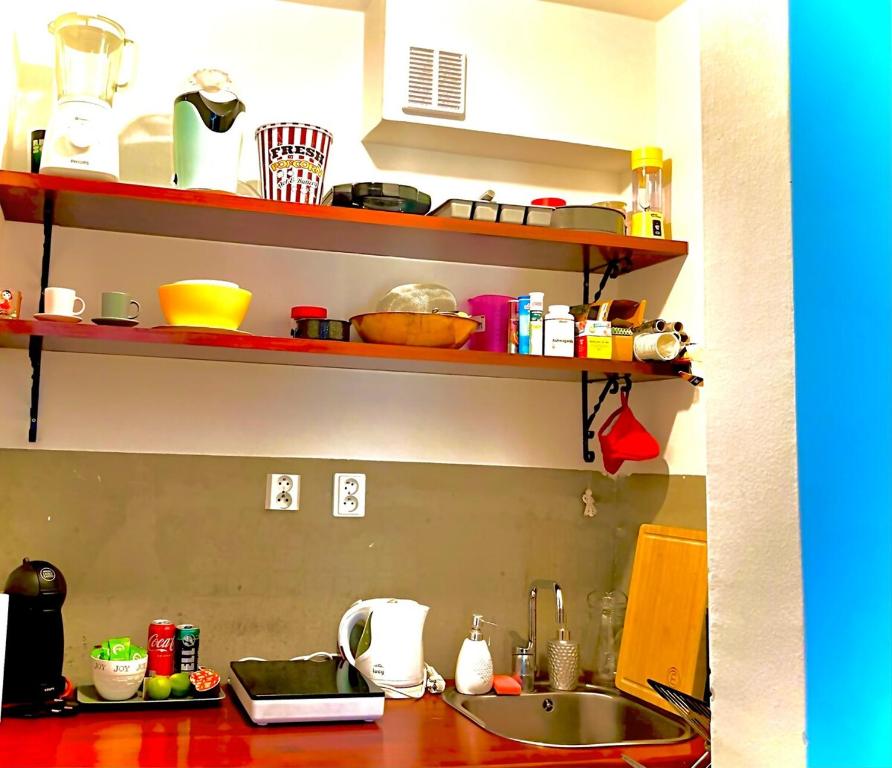 a kitchen counter with a sink and shelves above it at Apt in Bratislava