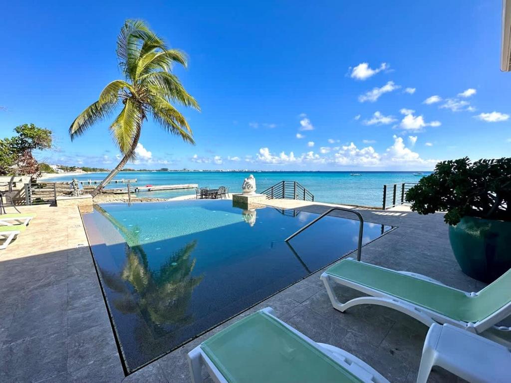 a swimming pool with a palm tree and the ocean at Seven Mile View Condo #3A in West Bay