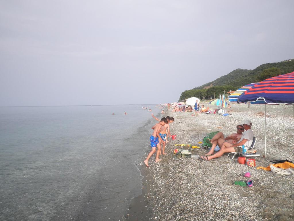 Príroda v okolí apartmánu