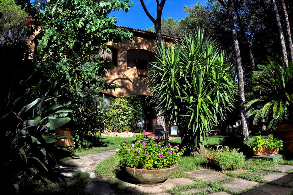 a garden with plants and flowers in front of a house at Casa La Perla in Santa Margherita di Pula