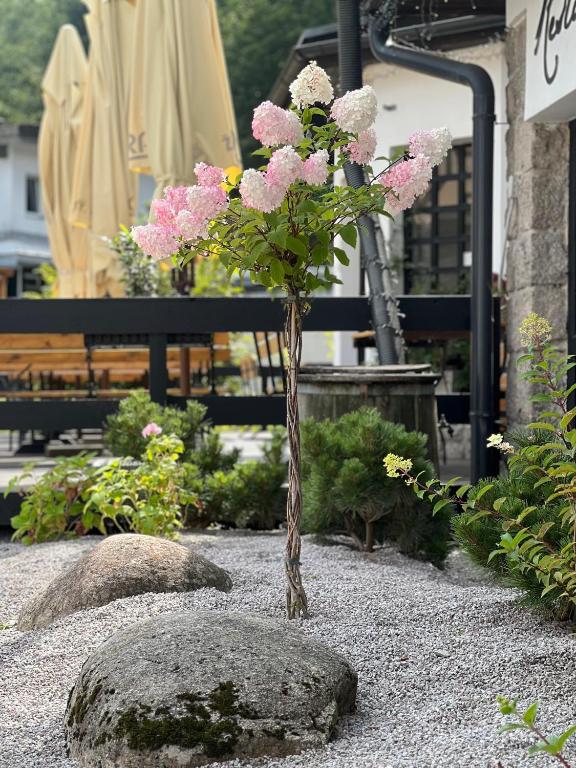 Hotel Lomnice - Resim 4