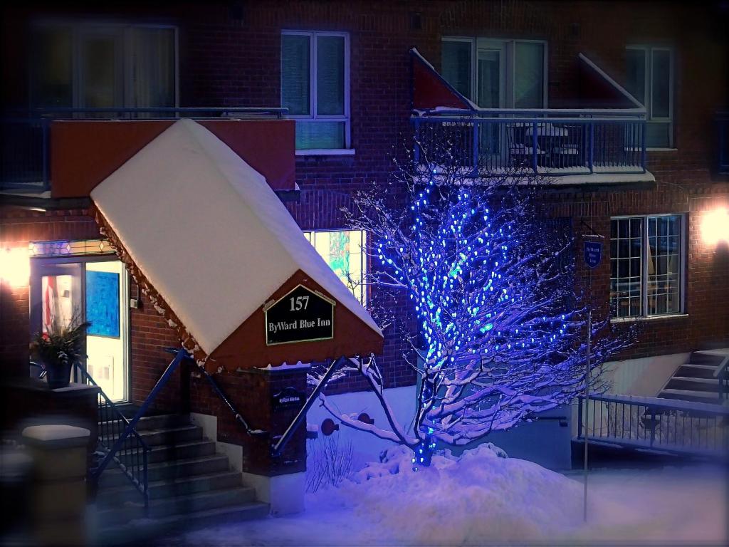 a blue christmas tree in front of a building at ByWard Blue Inn in Ottawa