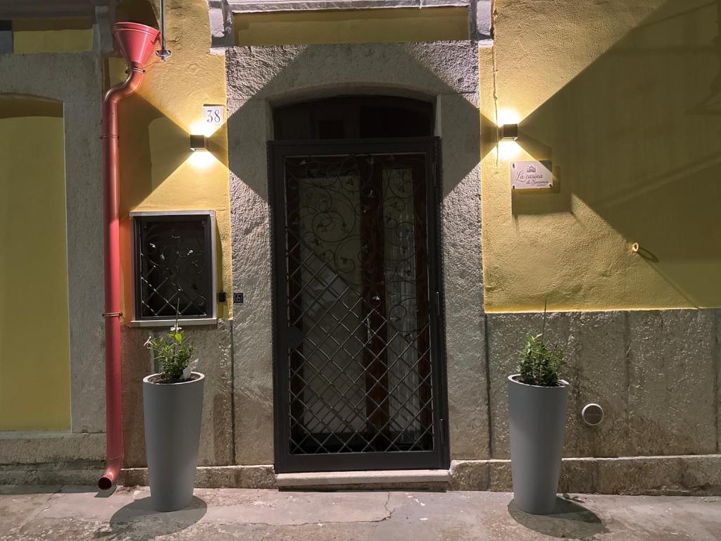 two potted plants sitting in front of a door at La casina di Soccorsa in Poggio Imperiale