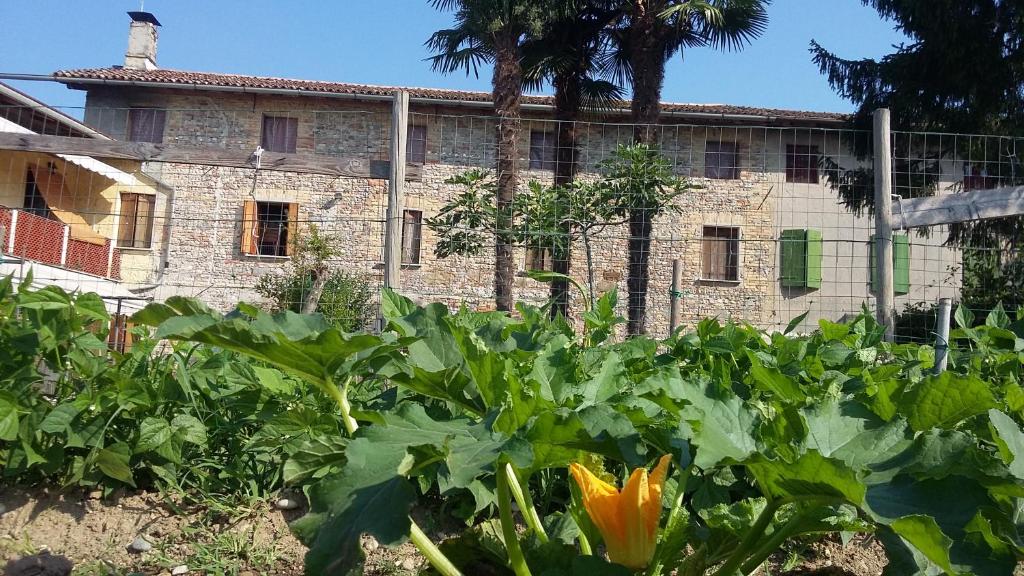 Vonkajšia záhrada v ubytovaní B&B Al Vecchio Confine