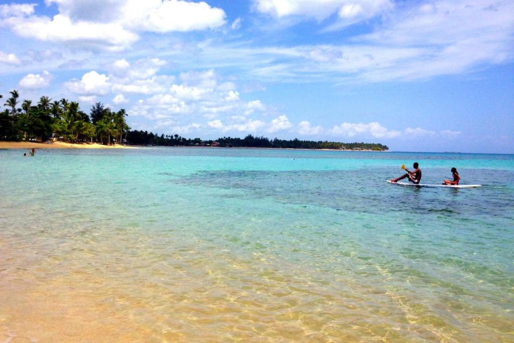two people on surfboards in the water on a beach at 2BR, Private Pool, Modern, Close to Beach in Las Terrenas
