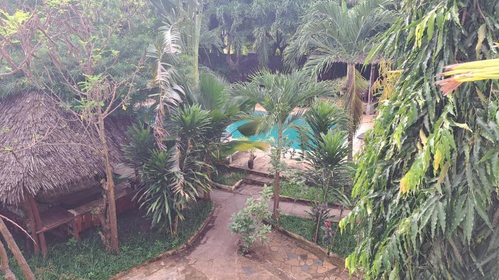 Taman di luar Diani Executive Studio, Blue Swallow