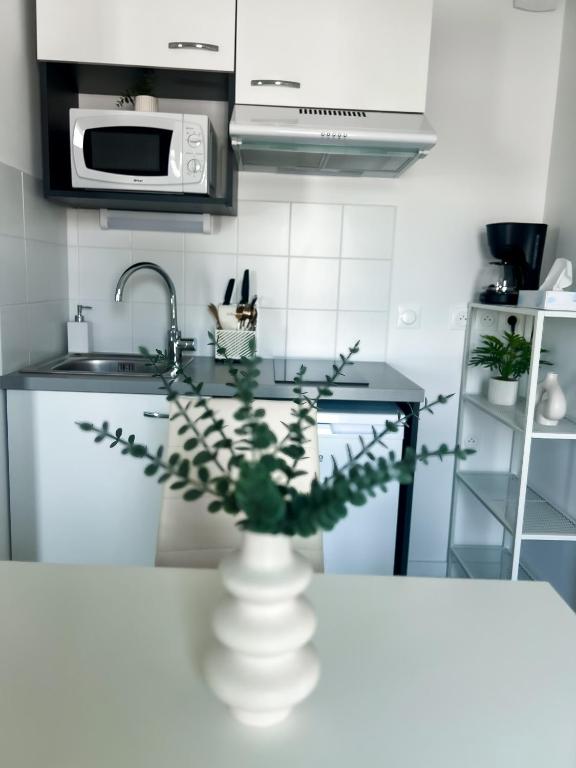 a kitchen with a vase with a plant on a table at Studio in Lormont with Free Parking in Lormont