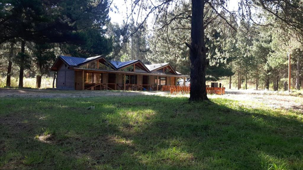 a log cabin in the woods with a tree at Brisa del Bosque in El Bolsón