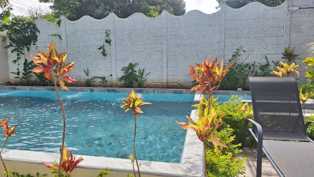 a swimming pool in a yard with two chairs and plants at Casa en Santa Cruz a 40min de Tamarindo in Santa Cruz