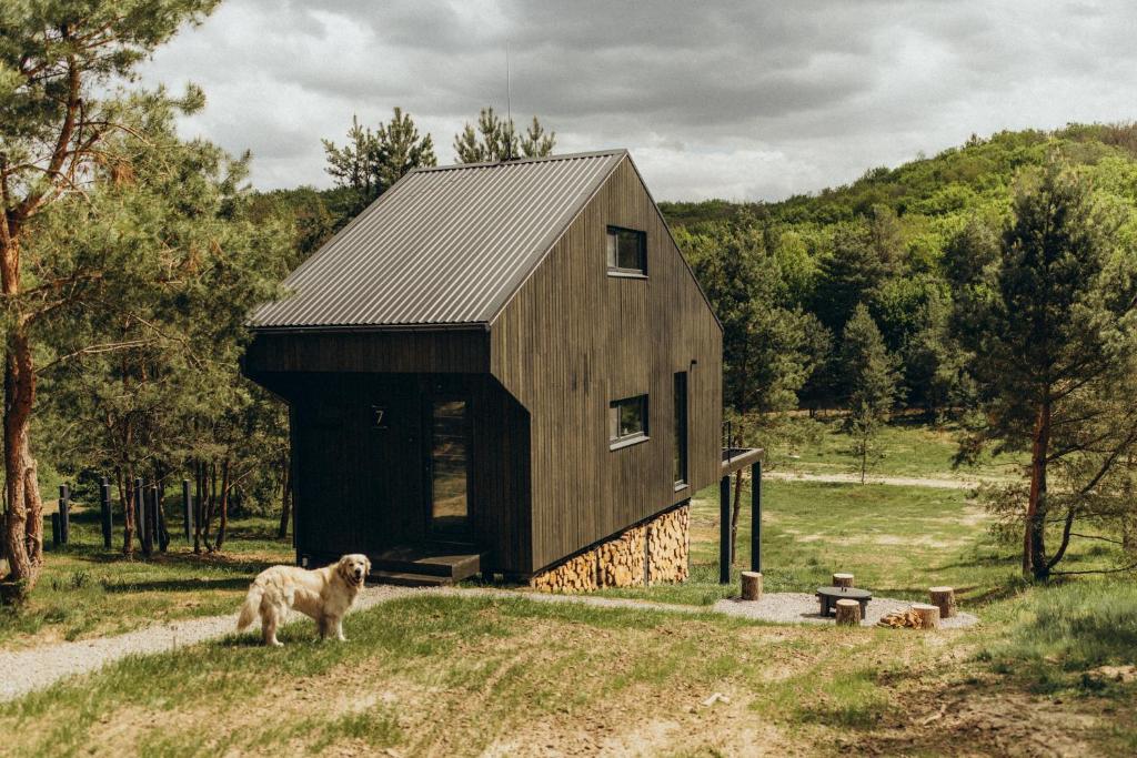 a dog standing in front of a wooden barn at Будиночки для відпочинку ТРОХИ ДАЛІ in Dmitrenki