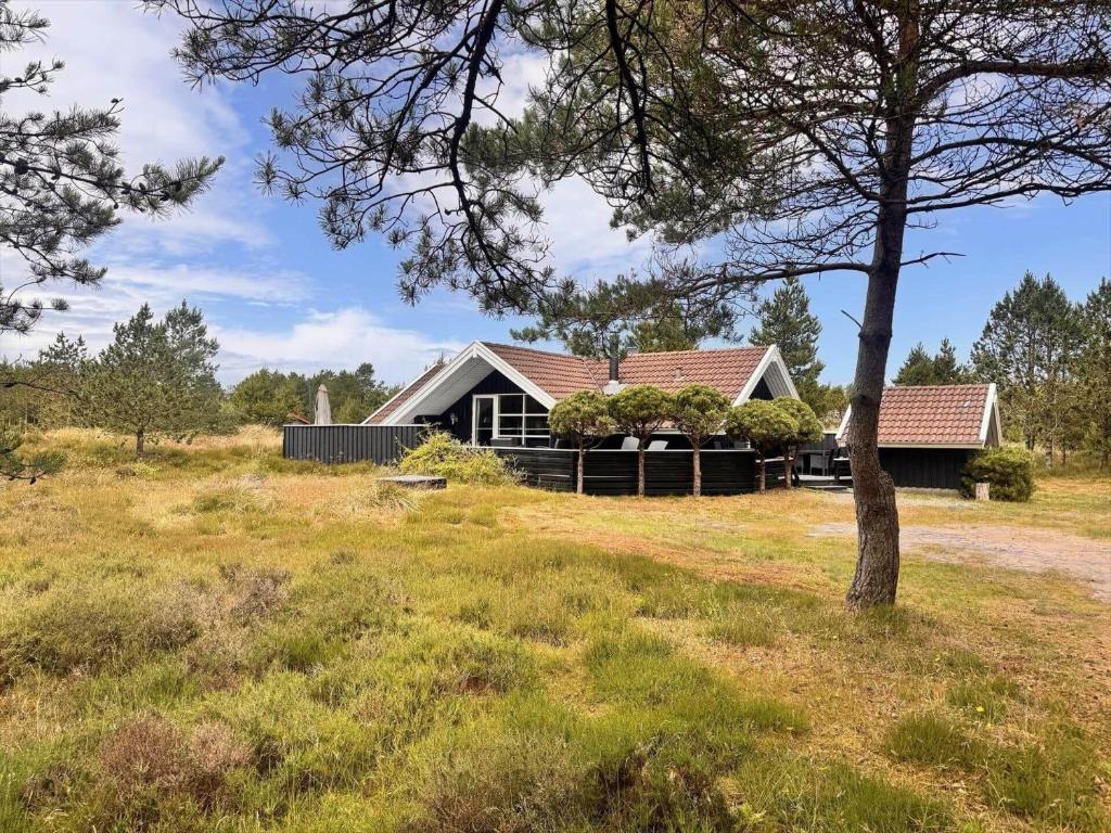 a house in a field with a tree at BV422-Blavand-Hedetoftvej-2 in Blåvand