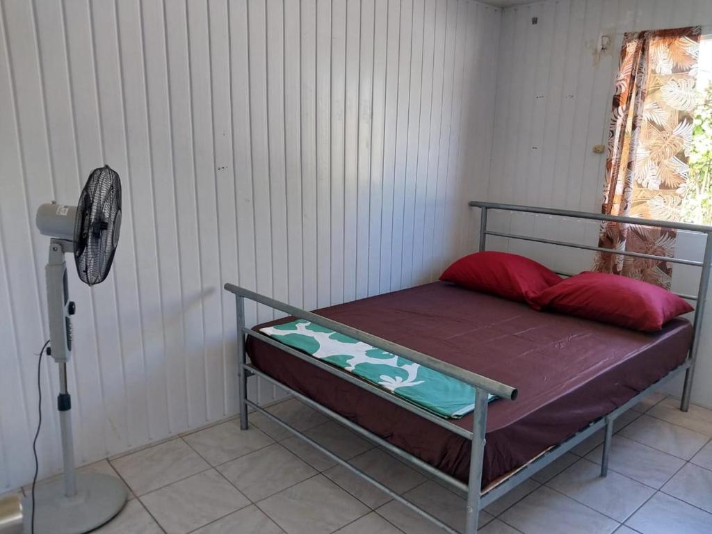 Chez les Ami's Rangiroa - photo 8 - Rangiroa, Polynésie