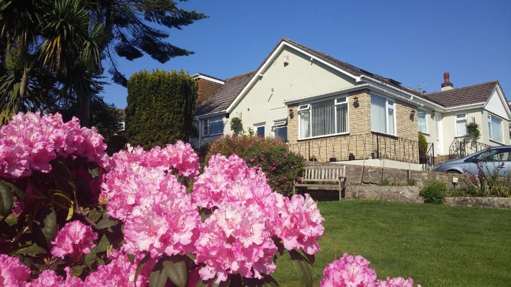 une maison avec des fleurs roses dans la cour dans l'établissement Churston Way Lodge Guest House, à Brixham