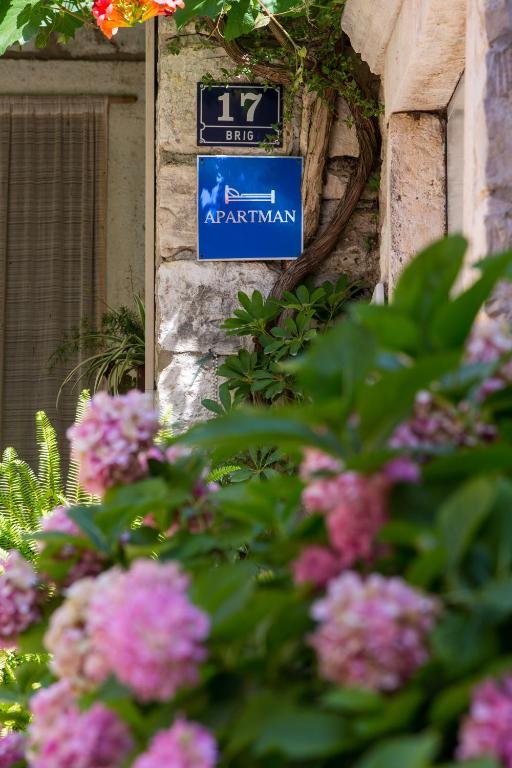 Fotografie z fotogalerie ubytování Apartments Villa Anka v destinaci Komiža